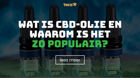 Wat is CBD-olie en waarom is het zo populair?