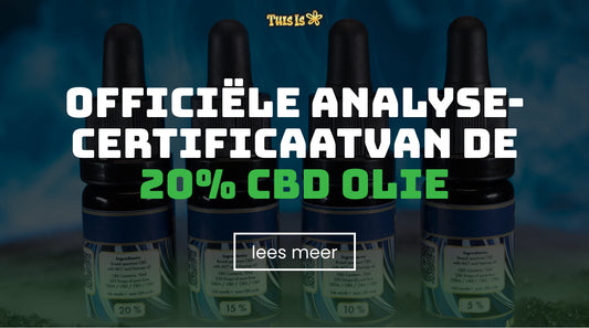 THISIS CBD OLIE 20%: Bekijk het officiële analyse-certificaat (0% THC)