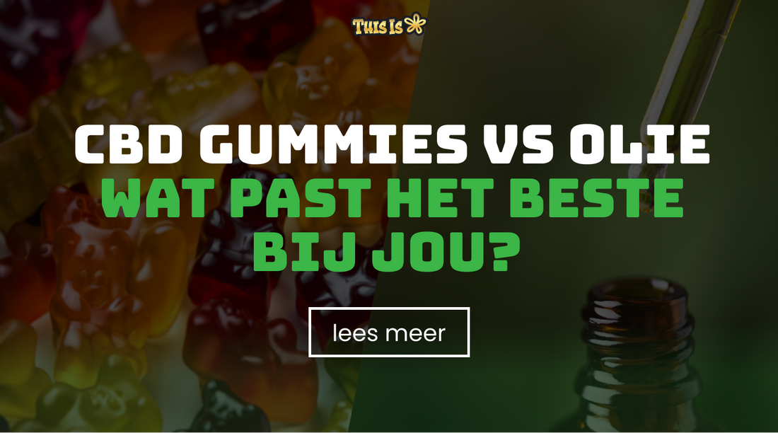 CBD gummies vs CBD olie: wat past het beste bij jou? 