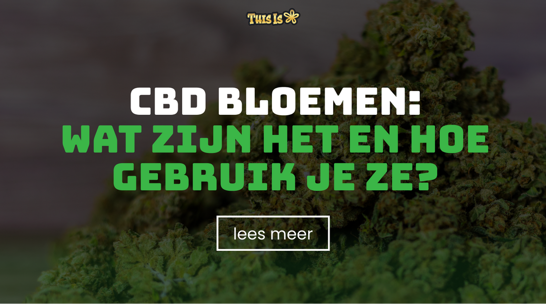CBD bloemen: wat zijn het en hoe gebruik je ze?