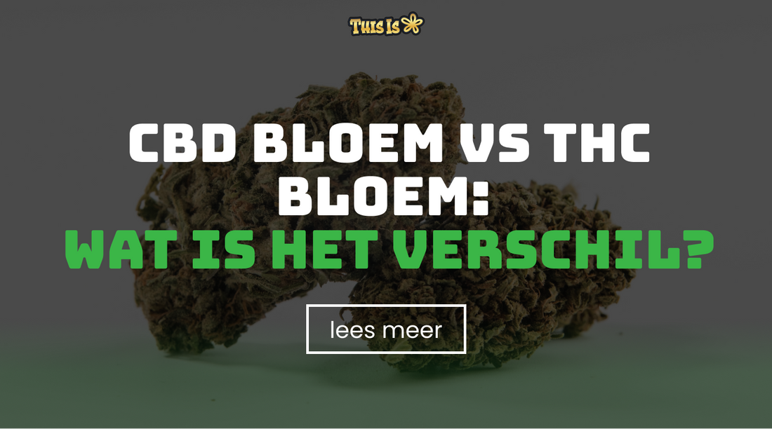 CBD Bloem vs THC Bloem: Wat is het Verschil?