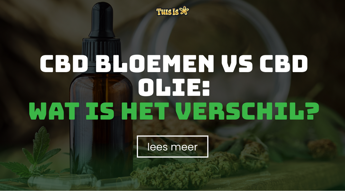 CBD bloemen vs CBD olie: wat is het verschil?