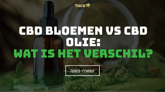 CBD bloemen vs CBD olie: wat is het verschil?