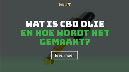 Wat is CBD olie en hoe wordt het gemaakt?