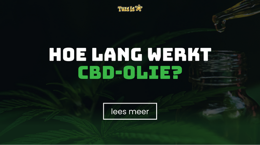 Hoe lang werkt CBD olie?