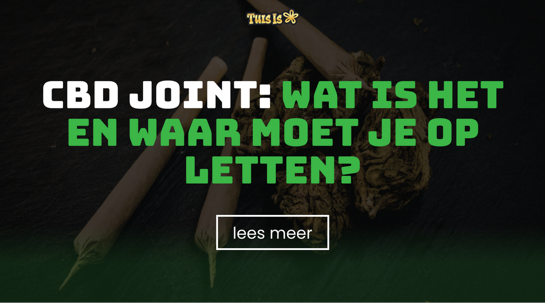 CBD joint: wat is het en waar moet je op letten?