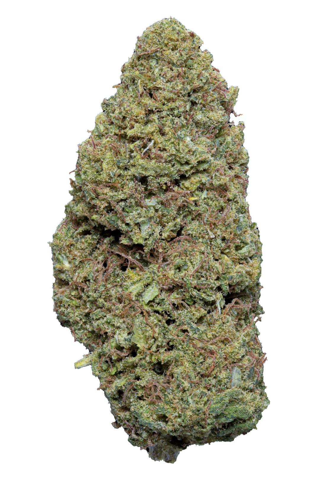 Sunkissed Silver Haze CBD