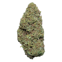 Sunkissed Silver Haze CBD