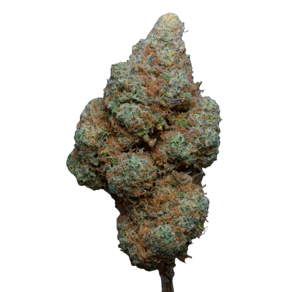 This is Candy Halo CBD 5 gram