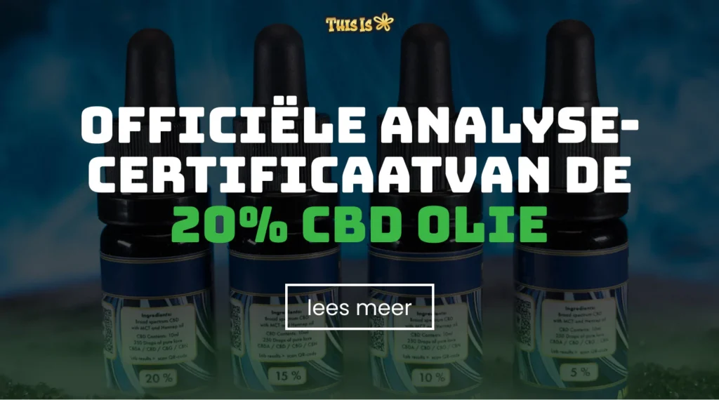Lab rapport 20%