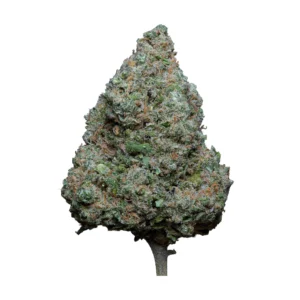 This is Blue Zushi CBD 5 gram
