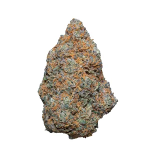 Blueberry muffin Transparant